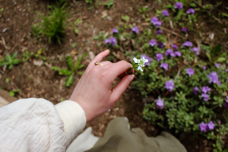 A hand gently holding a white spring flower in a garden