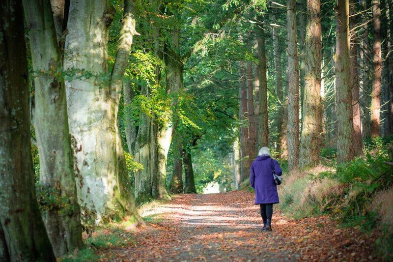 Older adult walking on a nature path surrounded by green trees