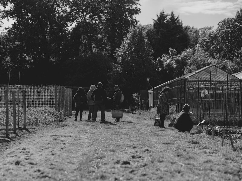 Older adults working together in a community garden