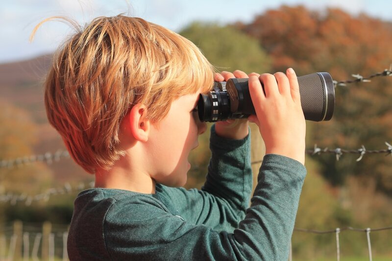 Person looking through binoculars observing birds in nature