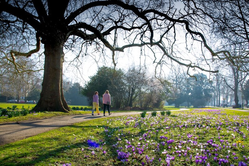 Two people walking together along a park path lined with spring crocuses
