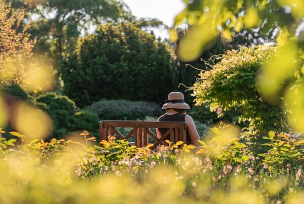 A person sitting quietly on a bench in a sunlit garden