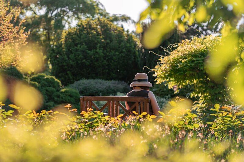 A person sitting quietly on a bench in a sunlit garden